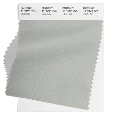 PANTONE 14-4804tcx PANTONE 14-4804tcx